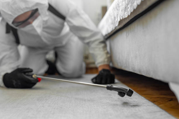 Professional Ant Control technician working in Paddock Lake, WI